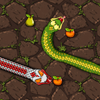 Snake Attack Snake Attack